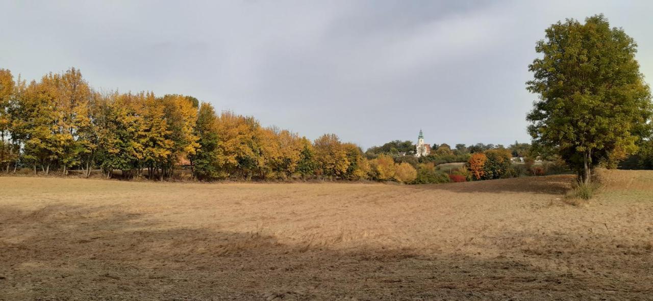 Przystanek Bajka W Puszczy Zielonce Villa Dabrowka Koscielna Luaran gambar
